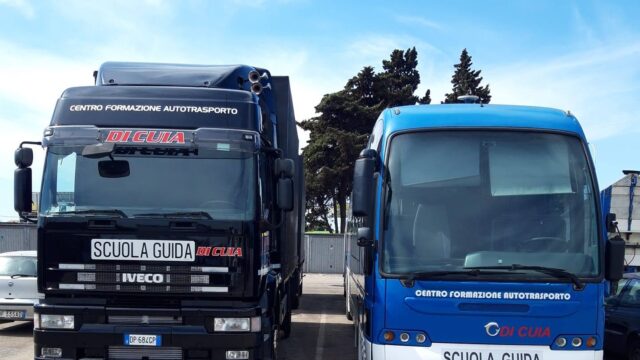 di cuia formazione