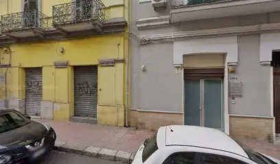 geo lomagisto