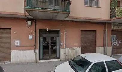 geo tamburrino